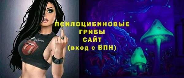 ГАЛЛЮЦИНОГЕННЫЕ ГРИБЫ Алексин
