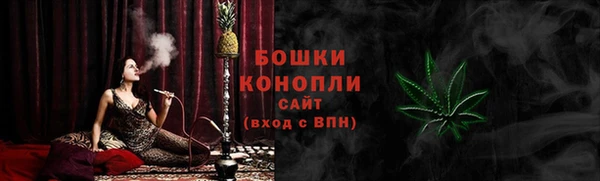 ГАЛЛЮЦИНОГЕННЫЕ ГРИБЫ Алексин