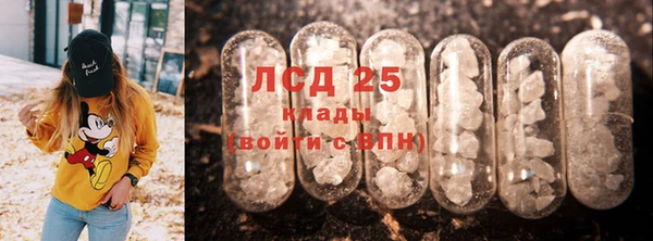 ГАЛЛЮЦИНОГЕННЫЕ ГРИБЫ Алексин